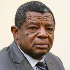 Zimbabwe President Emmerson Mnangagwa Faces Protests and Internal Challenges