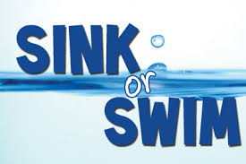 sink or swim 23  rc catalyst