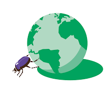 LES INSECTES AU SECOURS DE LA PLANETE