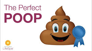 constipation? diarrhea? ayurveda