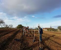 Nos bureaux sont fermés le 1er mai 2021. Plantation Arbres Hommage Projet Au Pre De Mes Arbres En France Dans Nos Coeurs