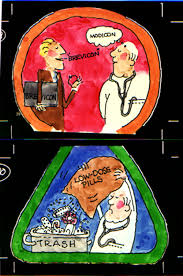 Image result for Brevicon