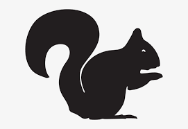 Maybe you would like to learn more about one of these? Black Squirrel Png Squirrel Clipart Black And White Png Image Transparent Png Free Download On Seekpng