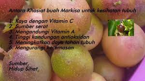 Dibalik rasa unik dari markisa terdapat banyak manfaat untuk kesehatan manusia. Khasiat Buah Markisa Petik Markisa Passion Fruit Jus Markisa Youtube