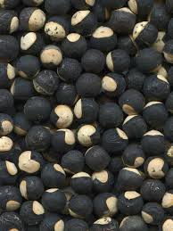 Image result for Cardiospermum