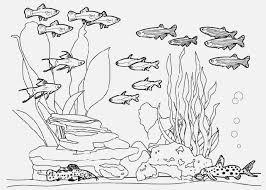 When it gets too hot to play outside, these summer printables of beaches, fish, flowers, and more will keep kids entertained. Free Coloring Pages And Coloring Books For Kids Fish Tank Coloring Pages
