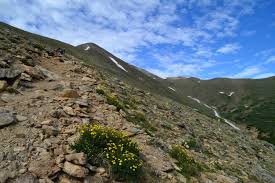 Mt. Elbert Summit: 14,433 ft