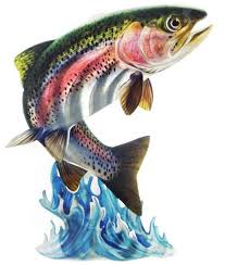 Find the latest sports news and articles on the nfl, mlb, nba, nhl, ncaa college football, ncaa college basketball and more at abc news. Leaping Rainbow Trout 3d Steel Reflective Wall Art Trout Painting Trout Art Fish Artwork