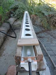 Growing Strawberries In A Self Irrigating Gutter Sig Root Simple