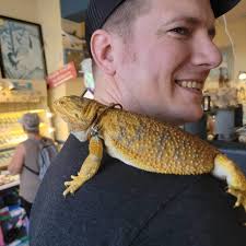 End of year giveaway at Earth Treasures FL