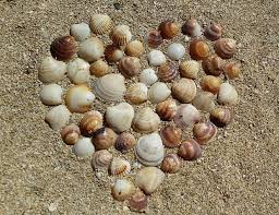 Websitependidikan Com Info Tips Pendidikan Parenting Pedagogik Dan Seputar Ilmu Pengetahuan