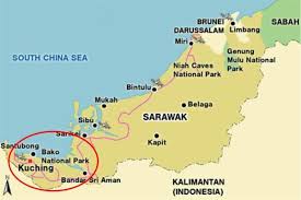 Di sarawak terdapat tempat pemuliharaan rafflesia iaitu taman negara gunung gading yang pada mulanya dijalankan secara tertutup. Jom Melancong Ke Sarawak Taman Negara Bako