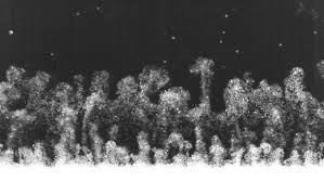 Peering Inside The Black Box