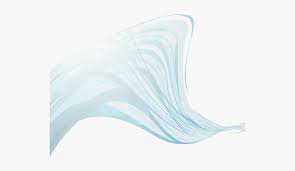 Here you can find the best white background wallpapers uploaded by our community. Plain Vector White Background Png Image Download Illustration Transparent Png Transparent Png Image Pngitem