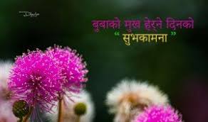 Birthday Quotes For Father In Nepali Fathers Day Messages In Nepali Language Bless Nepal In 2020 Fathers Day Messages Fathers Day Wishes Dear Dad