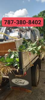 Lajas Puerto Rico 🇵🇷