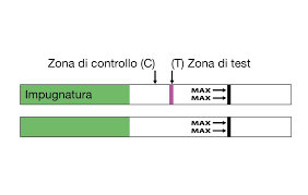 Migliori Test Di Ovulazione 2021 Top 5 Qualescegliere