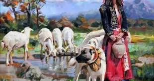 Pin By Kangaltv On Kangal Dogs And Woman Kangal Kopegi Ve Kadin Art Art Painting Beautiful Paintings
