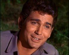 20+ Michael landon ideas