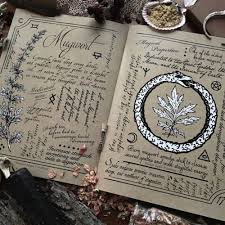 Pin By Hali Karla On Art Journal Inspiration Grimoire Book Of Shadows Hedge Witch