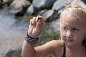 Martha's Vineyard Magazine