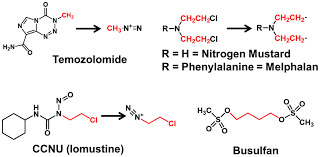 Image result for Alkylating Agent