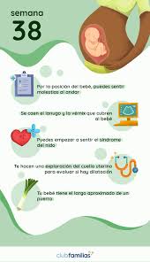 En la semana 22, un aumento de peso adecuado debería situarse entre los 5kg y los 8kg. Semana 38 De Embarazo Club Familias
