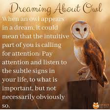 Owl Spirit Animal Owl Spirit Meaning Owl Spirit Animal Animal Totem Spirit Guides Spirit Animal Meaning
