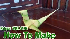 Kerajinan yang sering dibuat dari daun kelapa ialah topi. Cara Membuat Ketupat Anak Ayam Dari Daun Kelapa Youtube