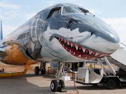 Nose Art Havacilik Askeri Painting