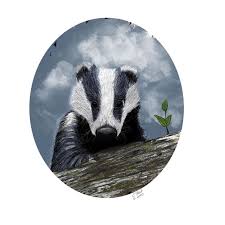 Wusstet Ihr Das Unser Heimischer Dachs Meles Meles Heisst Und Wusstest Ihr Das Er Zur Familie Der Mader G Animal Paintings Funny Animal Videos Animal Books