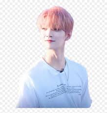 Hong jisoo (홍지수) stage name: Joshua Hong Seventeen Kpop Aesthetic Carat Png Seventeen Joshua Seventeen Png Transparent Png Vhv