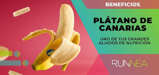 Les bienfaits de la banane des Canaries que la science cautionne pour en  faire l'un de vos grands alliés en matière de nutrition