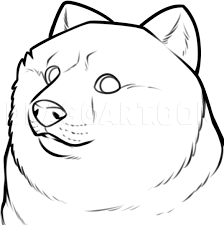 736x1268 great sketch of a shiba inu doge shibe shibaholic. How To Draw Shibe Doge Step By Step Drawing Guide By Dawn Dragoart Com