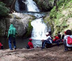 Annual Report 2017 CC17 092618.indd