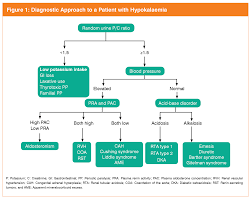 Image result for Transtubular Potassium Gradient