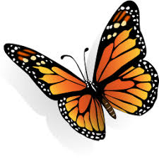 Arsh on apr, 19th, 2019. Butterfly Png Butterfly Transparent Background Freeiconspng