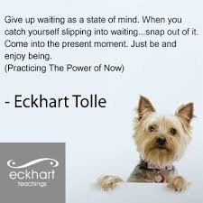  Pin By Debby Schultz On Eckhart Tolle Eckhart Tolle Quotes Eckhart Tolle Power Of Now