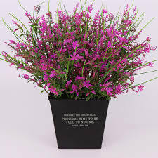 With over 50 years of experience between the two of us. Home Garden 5pcs Artificial Plastic Plant 5 Fork Moss Grass Home Wedding Garden Decor Home Decor