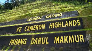 The food was cheap and good. The Cameron Highlands
