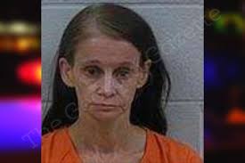 Peggy Mcgee — Polk County Jail Bookings