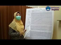 Ibu desy adalah g1p0a0 berusia 22 tahun. 10 05 Mb Cara Pengisian Partograf Download Lagu Mp3 Gratis Mp3 Dragon