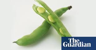 Once the plants have had all their pods removed, cut the stem at the base leaving the roots in the ground. Seasonal Food Broad Beans Food The Guardian