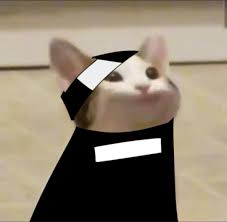 Pepe emojis are custom emojis based around the popular character, pepe the frog. Pop6d Profile Pic In 2021 Pop Cat Cute Anime Coupes Dream Team