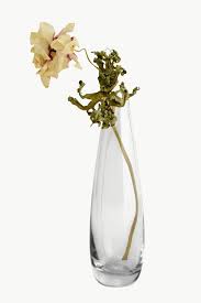 Dried Pink Anemone Flower In A Glass Vase Free Image By Rawpixel Com Teddy Rawpixel In 2020 Anemone Flower Glass Vase Anemone