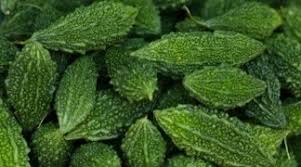 Image result for Momordica anigosantha