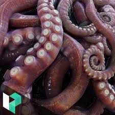 Advanced Shape Creation In Substance Designer Tentacle Octopus Tentacles Octopus