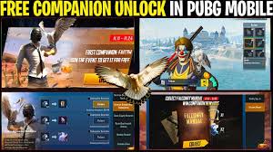 How to get companion in pubg mobile !! How To Get Free Companion In Pubg Mobile Collect Maximum Shard Card And Unlock The Companion Youtube