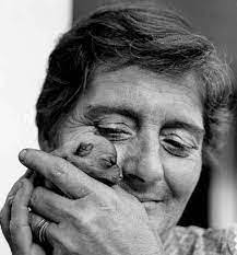 Iona Robertson's Instagram, Twitter & Facebook