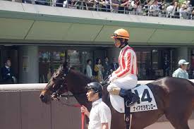 競走馬の名前のルールとは 意外と厳しい決まりを解説 競馬辞典 Com
